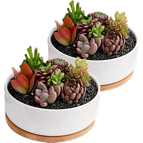 Disdain Indoor Ceramic Flower Pots Set Cover