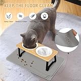Lannvan Katzennapf Erhöht, 2er Set Futternapf Katze aus Keramik mit Napfunterlage Silikon, Ergonomischer Futterstation 15°gekippte Katzen Hundenapf,Fressnapf und Wassernapf für Katzen und kleine Hunde