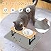 Lannvan Katzennapf Erhöht, 2er Set Futternapf Katze aus Keramik mit Napfunterlage Silikon, Ergonomischer Futterstation 15°gekippte Katzen Hundenapf,Fressnapf und Wassernapf für Katzen und kleine Hunde