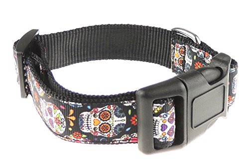 Glamour Girlz Funky Schwarz Retro Regenbogen Farbe Inca Maya Style Schädel Nylon Hundehalsband XL