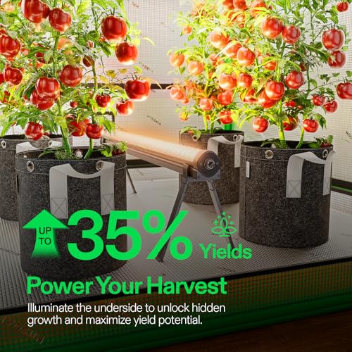 VIVOSUN LumaRay Under Canopy Grow Light 2 Pack