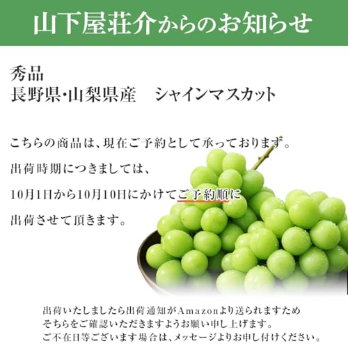 山下屋荘介 長野 山梨県産 シャインマスカット 秀品 (2房 / 約1kg / 常温) の商品画像 1