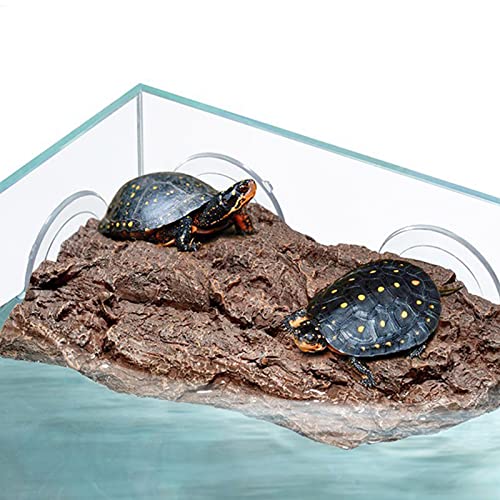 Plateforme tortue ventouse réglable à forte adhérence pour réservoir - 3