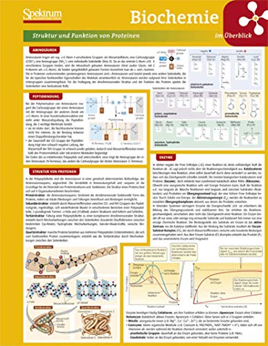 Lerntafel: Biochemie Im Uberblick