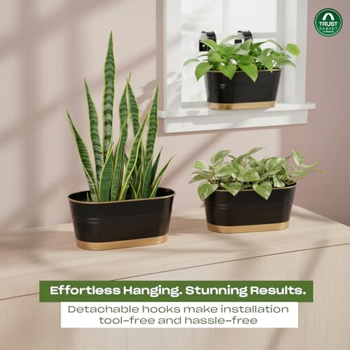 Image of TrustBasket 12 inches, Set of 6 Railing Planter - Premium UV Resistant, Anti-Rust Hanging Pots for Plants | Stylish Hanging Planters for Balcony | Indoor & Outdoor Pots for Balcony Decoration (Black)