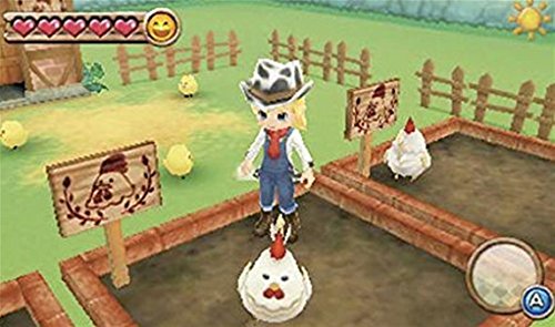 Harvest Moon A New Begining Jeu 3DS - vue 5