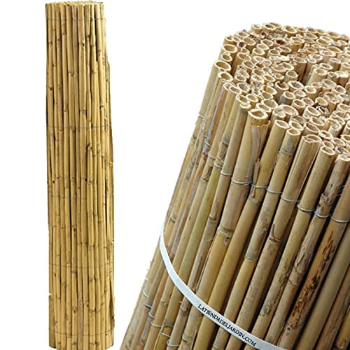 Suinga Cañizo 2x10 Metros | Cañizo Entero Natural para Vallado | Valla Caña Entera | Cerramiento de caña Completa | Cañizo Grueso