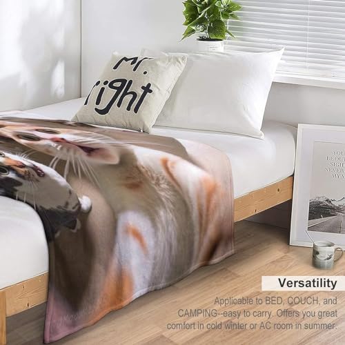 Manta de gato para sofá y tardes de películas en el sillón de casa 6