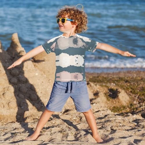 Boys Short Sleeve T-Shirts Cute Alpaca Sheep Cartoon Rashguard Kids Swim Shirts Sun UPF 50+ Multicoloured4