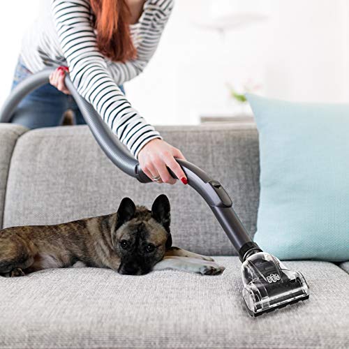 Venga! Aspirateur Traîneau Cyclonique Puissant, sans Sac, avec 5 Accessoires, Brosse pour Les Poils d'animaux, 700 W, Noir/Argent, VG VC 3300 - Image 8