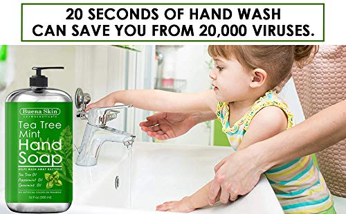 image for Buena Skin Tea Tree Mint Hand Soap - Liquid Hand Soap with Spearmint, 