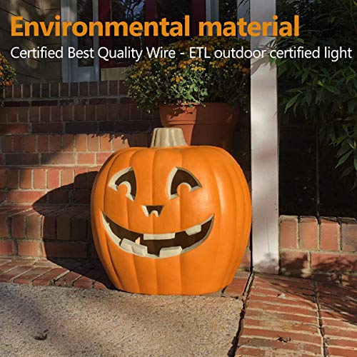 Halloween Pumpkin Lantern -Jack-O-Lantern Lights - Holiday Pre-Lit Pumpkin Lantern - Halloween Decorations Outdoor/ Indoor Pumpkin Festival Celebration Garden, Patio, Front Door Decor 20In Smile Face #TOP6
