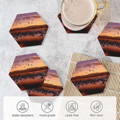 Dessous de verre céramique Bosque del Apache lot de 6 haute qualité - 6