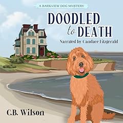 Doodled to Death Audiobook By C.B. Wilson cover art