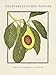 Vegetables of Chez Panisse 2003 Engagement Calendar