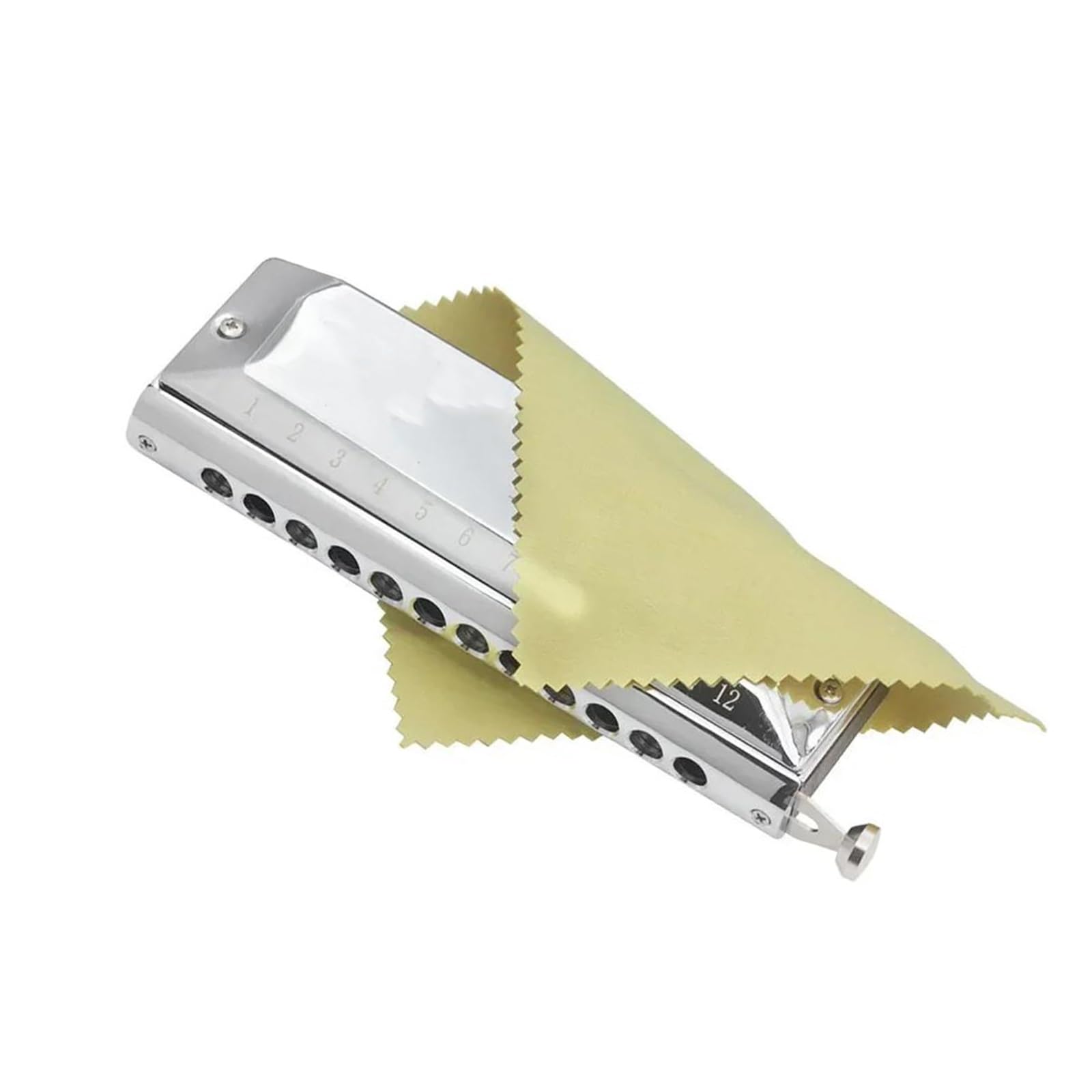 Armonica Strumento A Fiato Professionale Con Armonica A 12 Fori E 48 Note Scala Cromatica