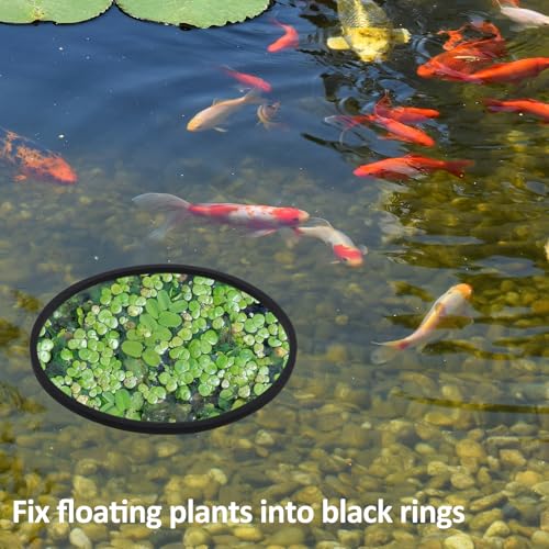 Image of 10 Pcs Fish Feeding Rings Set 5 Sizes Aquarium Round Feeder Ring for Fish Tank Aquarium Floating Plant Corral for Intercepts Floating Plants Black