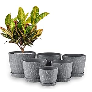 Faxinny Set of 6 Plastic Planters with Saucers,7.5/7/6.5/6/5.5/4.5 Inch Plant Pots with Drainage Hole and Tray for All…