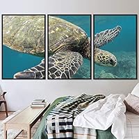 3 Piece Framed Canvas Wall Art Turtle Under The Surface Canvas Prints Home Artwork Decoration for Living Room,Bedroom - 16