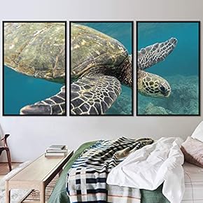 signwin 3 Piece Framed Canvas Wall Art Turtle...