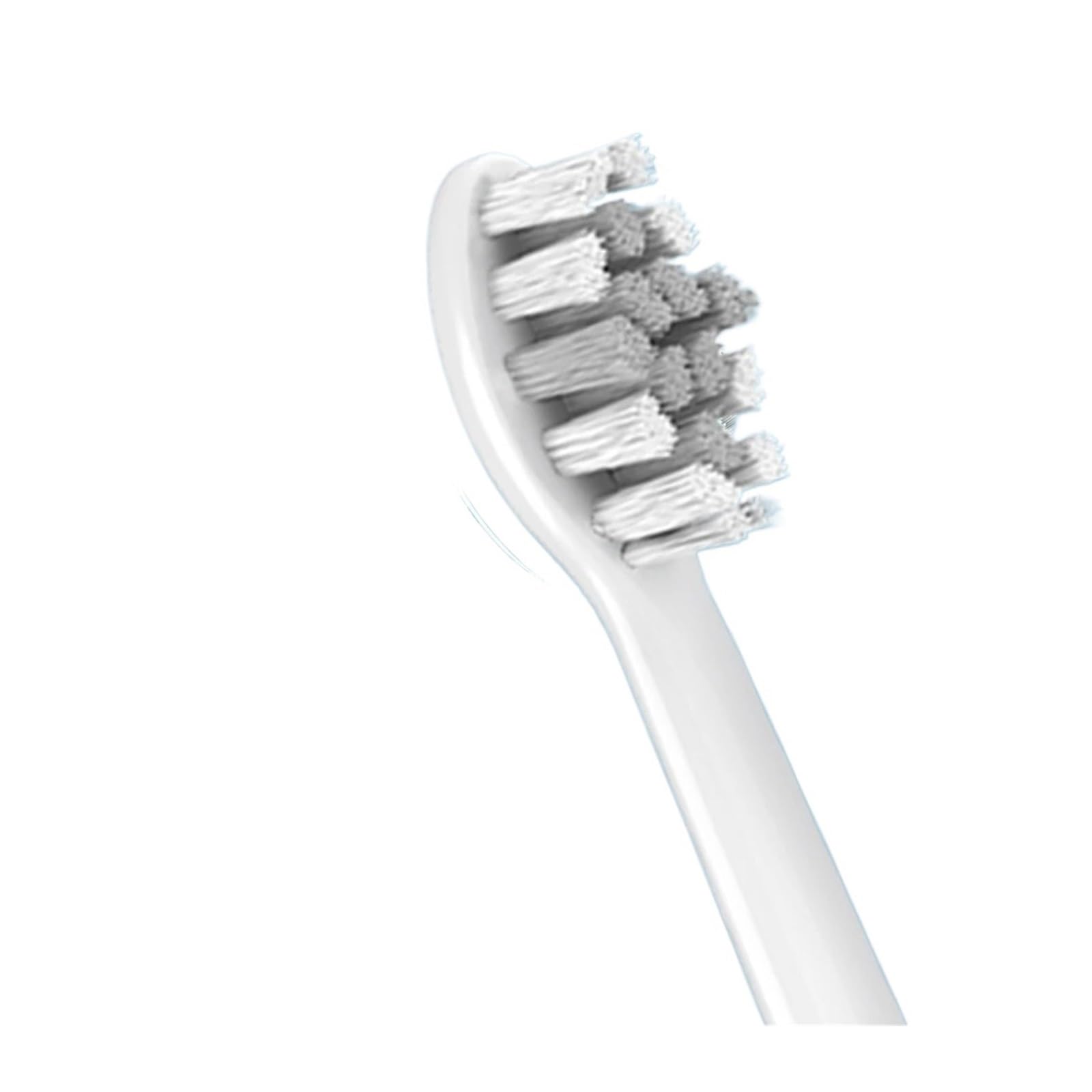 Testine, Compatibili Con 2100 4100