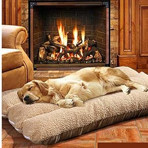 Catalpa – Cama para Perros, tamaño XXL, Lavable, 125 x 80 x 12 cm