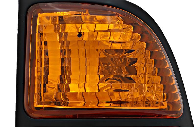 Compatible with Toyota Tundra Base,Limited,SR5 Tail Light Lamp 2000 2001 2002 2003 2004 2005 2006 Passenger Right Side