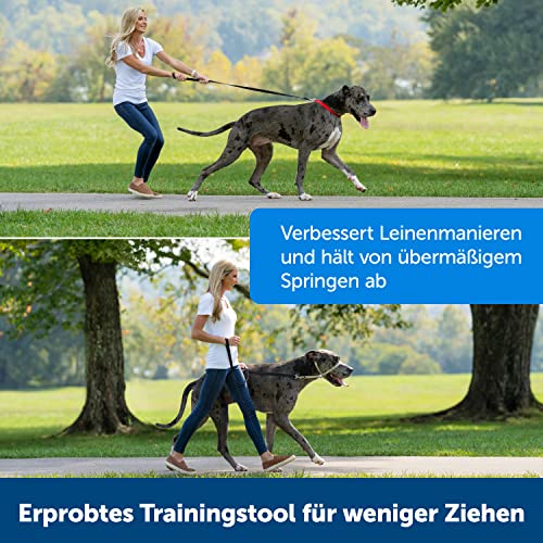 PetSafe Easy Walk Kopfhalfter, Aus widerstandsfähigem und weichem Nylon, Leichtes An- und Ausziehen, Größe L, Schwarz