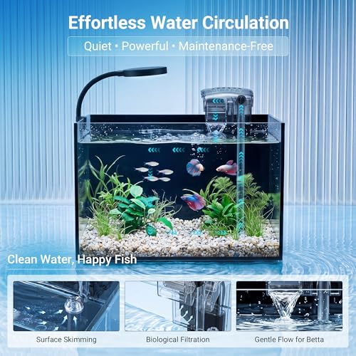 Image of Smart 2.8Gal Rimless Fish Tank Kit with LED Filter for Betta