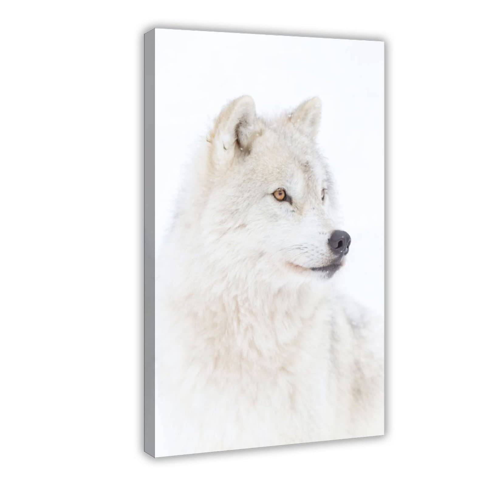 FISH DRAGATE Funny Art Illustration Animal Landscape Arctic Wolf Canvas Poster Wall Art Decor Print Picture Paintings for Living Room Bedroom Decoration Frame-style 20x30inch(50x75cm)