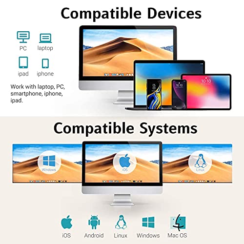 Zebra-LS2208-SR20007R-KR-LS2208-Black-with-Stand-Keyboard-Wedge-Kit-LS2208-SR20007R-Scanner-CBA-K01-S07PAR-Keyboard-Wedge-Cable-20-61019-02R-Stand-LS2208-KBW-KIT-7FT-BLACK-WINTELLISTAND