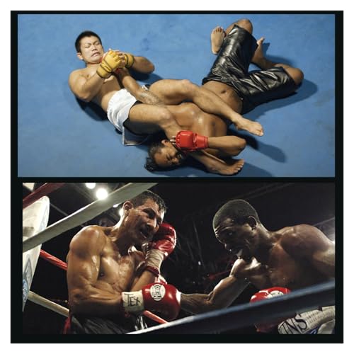Page de couverture de Who’s Next? Inside the Fight Game