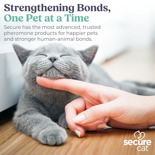 Image of SIGNS SecureCat Calming Diffuser for Supporting Calm and Well-Being to Help Relieve Any Feeling of Anxiety or Stress, Cat Pheromone Passive Stick Diffuser Home Starter Kit