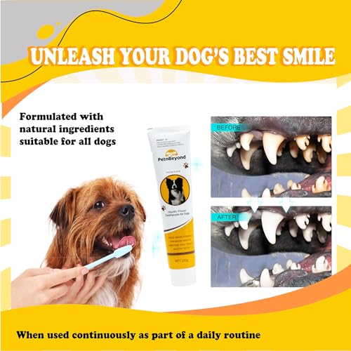 Image of PetnBeyond Dog Toothpaste - Poultry Flavor Teeth Brushing Cleaner, Pet Breath Freshener, Oral Care, Professional Pet Toothpaste for Dogs and Cats. Controls Plaque, Tartar, Bad Breath, Reduces Plaque