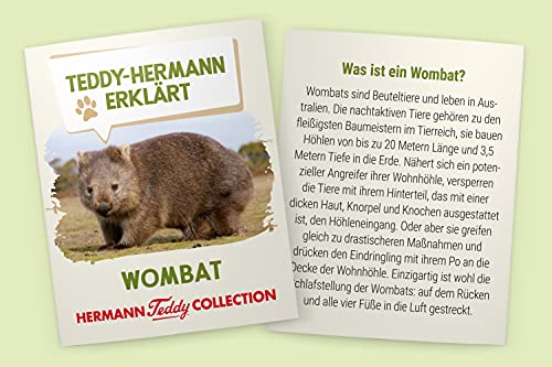 teddy hermann wombat
