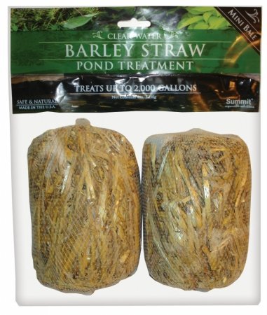 Summit Chemical #125 1,000 Gallon Clear Water Barley Straw