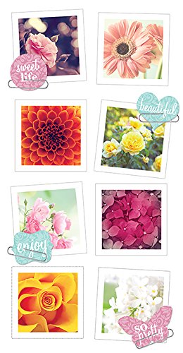 Paper House Productions STSS-0018E Floral Snapshot Stickers (3-Pack)