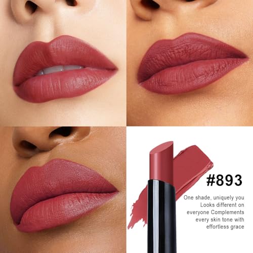 Image of evpct Reddish Brown Velvet Matte Lipstick, High Pigmented Slim Lipstick Long Lasting Waterproof for Women, Velvet Silky Lip Stick Stain Color Makeup Blendable 24 Hours Original Makeup Labiales, 893#