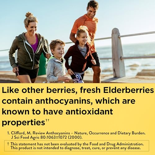 Nature Made Elderberry Gummies with Vitamin C & Zinc, 60 Elderberry Gummies - image 2