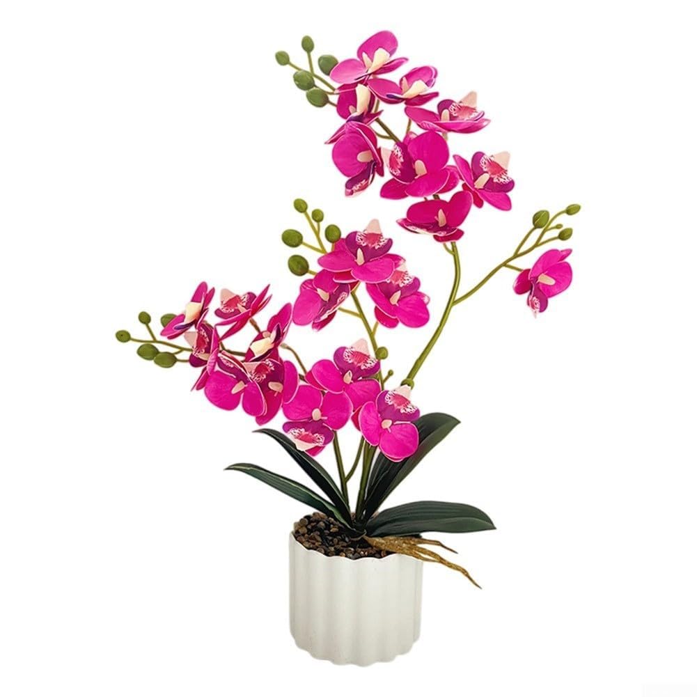 STUWBPLIC 1 Artificial Phalaenopsis Orchid Plant, Fake Plastic Phalaenopsis Plant for Home Decoration,D
