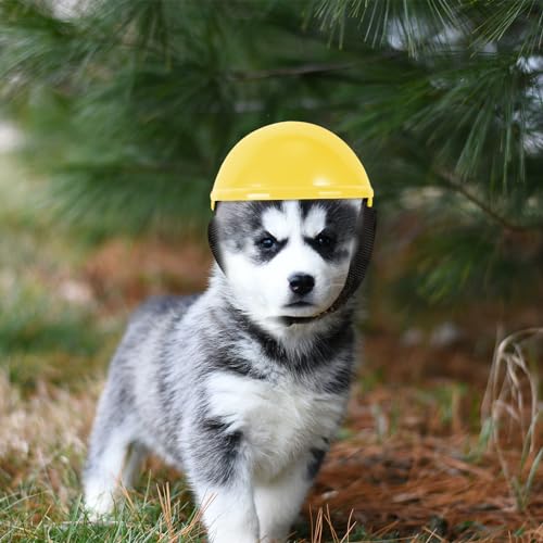 Haustier Lustiger Hut Hund Sicherheitshut Hündchen Kätzchen Helm Kleiner Hundehelm Hund Schutzhelm Helm Für Hunde Helm Der Französischen Bulldogge Urlaub Abs Kopfbedeckung