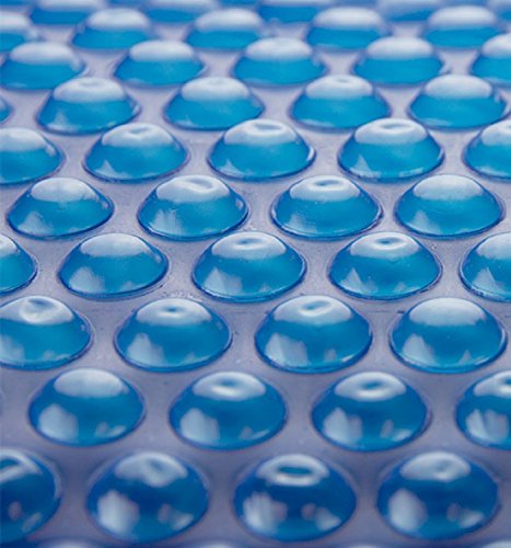 In The Swim 12MIL 24RND