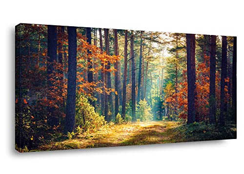 Piy Painting Autumn Forest Large Stretched Canvas Wall Art For Living Room Bedroom Home Decoration, Mordern Morning Sunlight Wood Print Picture Painting Decor Paintings and Their Reproductions 20x40