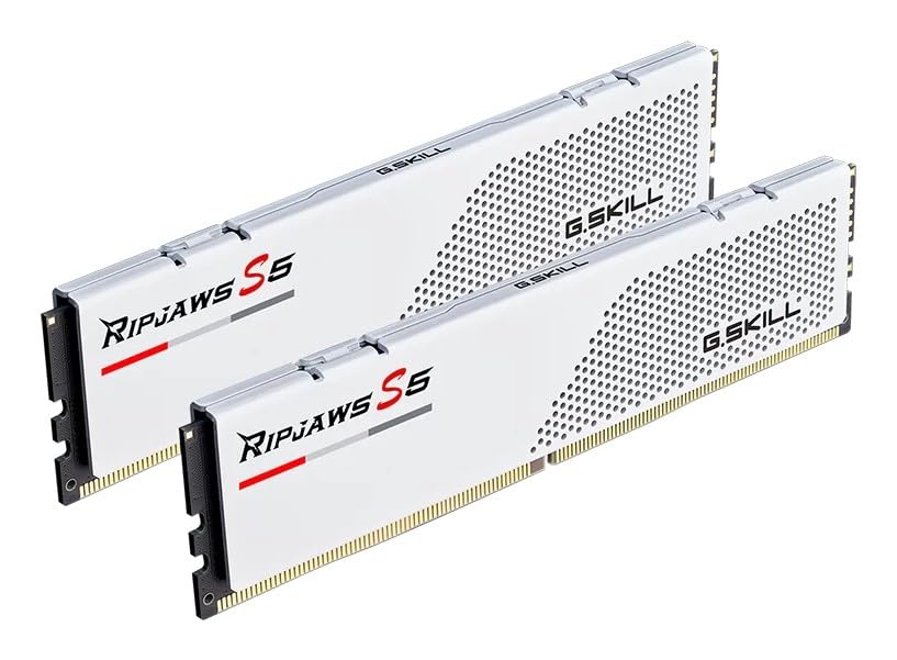 G.SKILL DDR5 64GB PC 6000 CL28 Kit (2 x 32GB) 64-RS5W : Amazon.ca