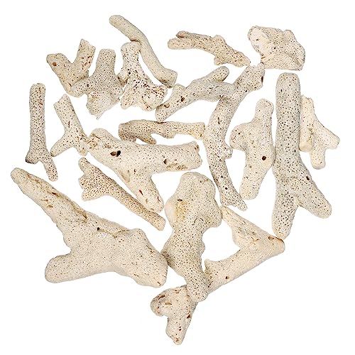 BUGUUYO 3-10CM 500g 水槽濾過材 天然サンゴ砂 砕石 水槽装飾用