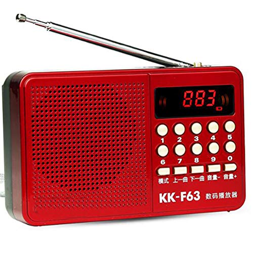 Mini-FM-Radio-Lautsprecher-Player, Stereokartenlautsprecher Digitalradio FM-Micro-SD/TF-USB-Festplatte MP3-Radio LCD-Display Internetradio, für