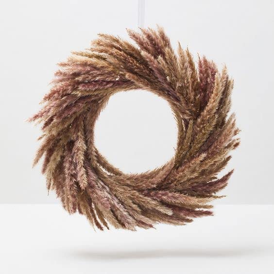 パンパスグラス 30本 パンパスグラス 30本