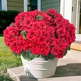 8 Pcs Artificial Geraniums Flowers for Outdoor Spring Summer Decor - UV-Resistant & Realistic Silk Faux Plants for Garden Porch Patio Yard Balcony Home Kitchen Table Centerpieces Decoration,Red