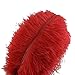 Sowder 10pcs Ostrich Feathers 12-14inch(30-35cm) for Home Wedding Decoration (red)