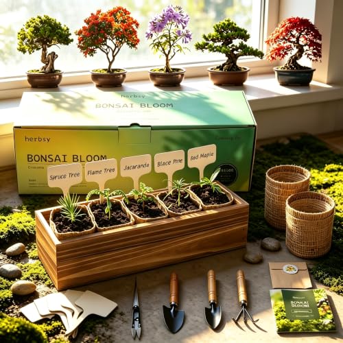 Herbsy Bonsai Tree Kit, Indoor Live House Plants Starter Kits, Mothers Day, Birthday Gifts for Women, Men, Gardening Lovers, Complete Bonzai Tree Growing Set — view 2